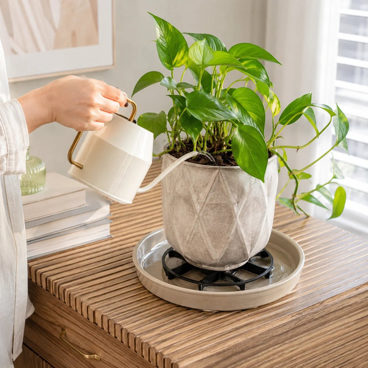 🪴 Root-Saving Raised Pot Stand – Better Airflow, Faster Drainage & Cleaner Floors