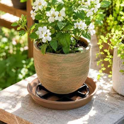 🪴 Root-Saving Raised Pot Stand – Better Airflow, Faster Drainage & Cleaner Floors
