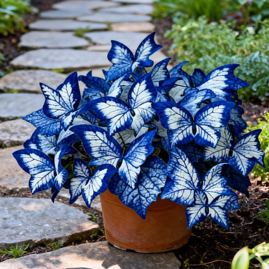 ✨Easy-to-Grow Seeds — Butterfly Blooms for a Living Garden