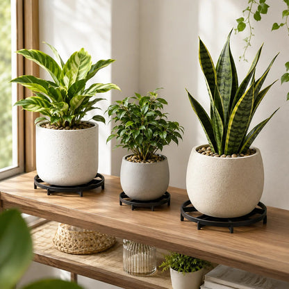 🪴 Root-Saving Raised Pot Stand – Better Airflow, Faster Drainage & Cleaner Floors