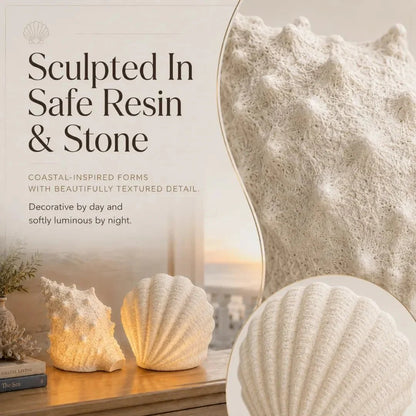 🌊✨Coastal Afterglow Shell & Conch Light Set