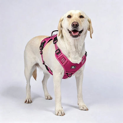 🐕 50% OFF! ✨ Outdoor Heavy-Duty Dog Vest Harness – Ergonomic No-Pull Chest Design, Multi-Point Adjustment & Breathable Mesh Lining – Climbing-Grade Buckles with Control Handle for Safe Walks 🦮